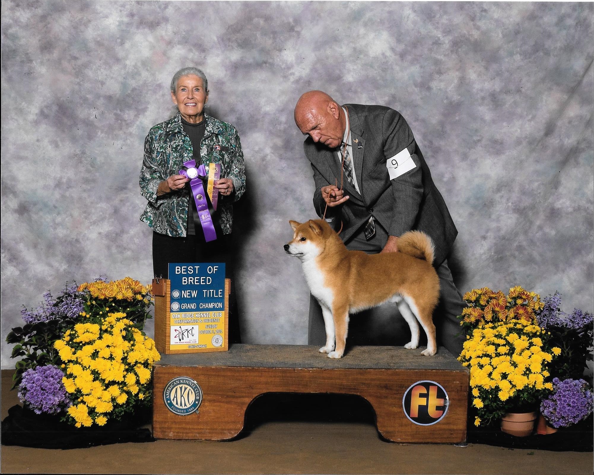 Shiba Inu Puppies for Sale Shiba Inu Puppies for Sale